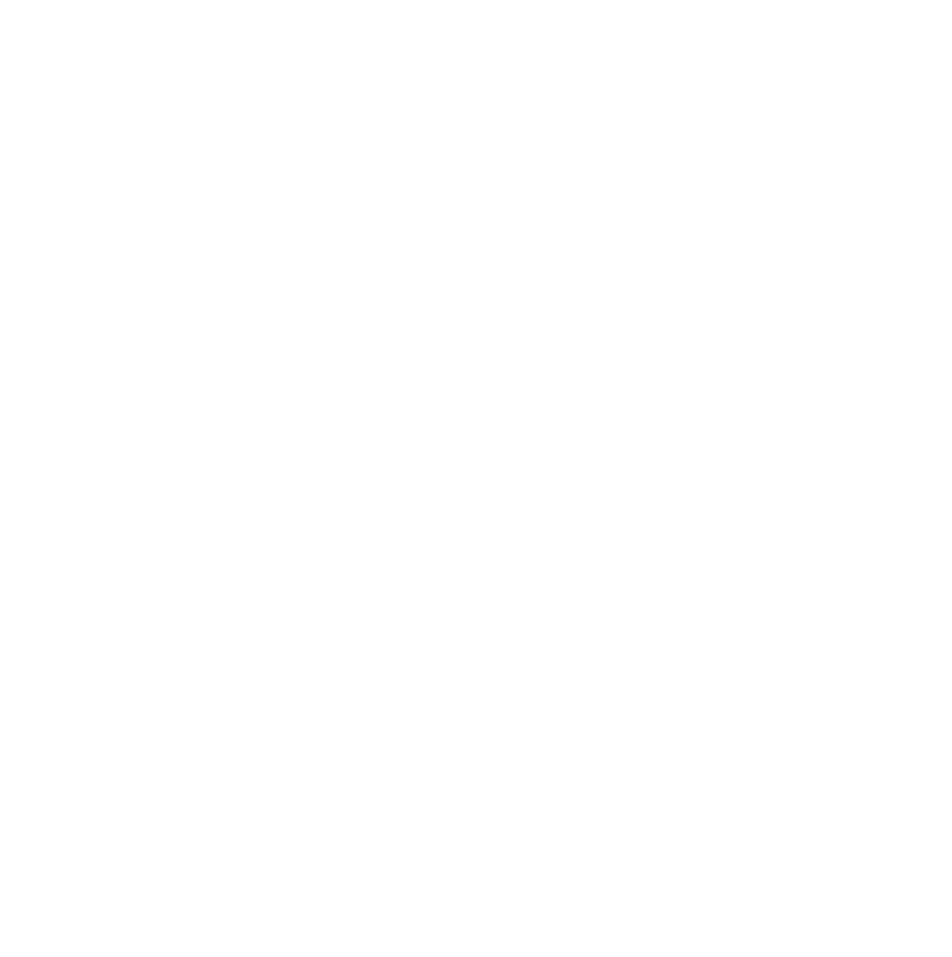 Black Dragons | e-Sports
